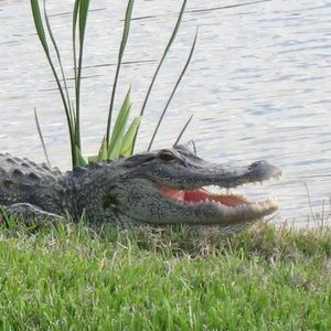 Meet your Posher, Jeff